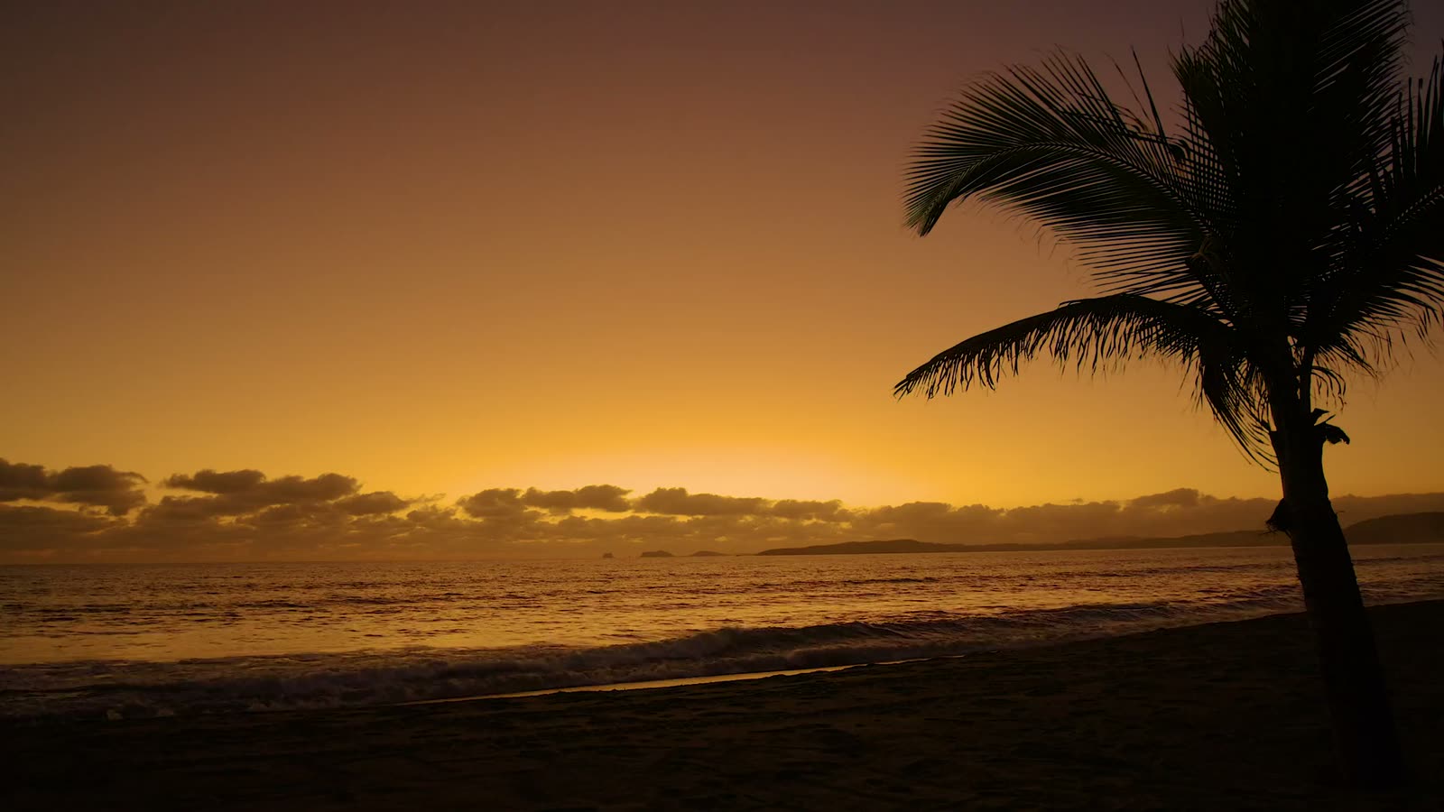 Coastline at dusk: a palm silhouetted against a sunset over the sea.