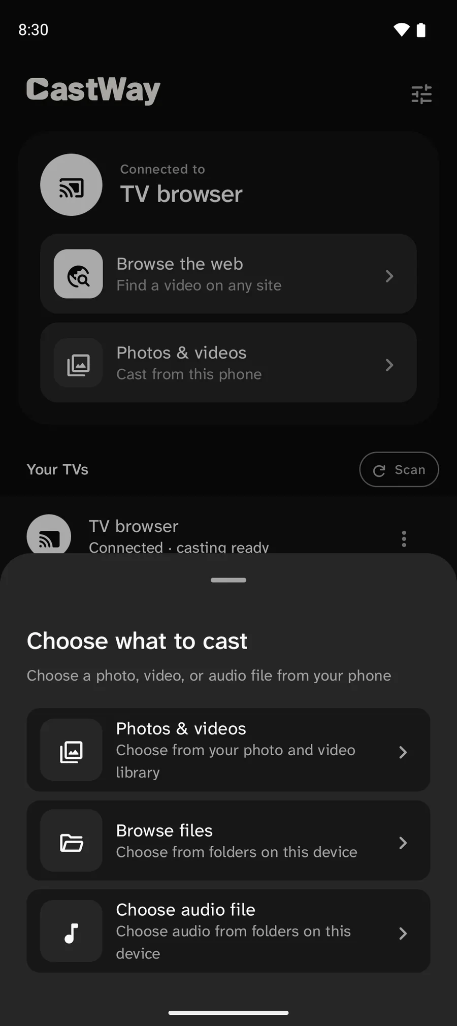 CastWay Choose what to cast sheet: Photos & videos, Browse files and Choose audio file.