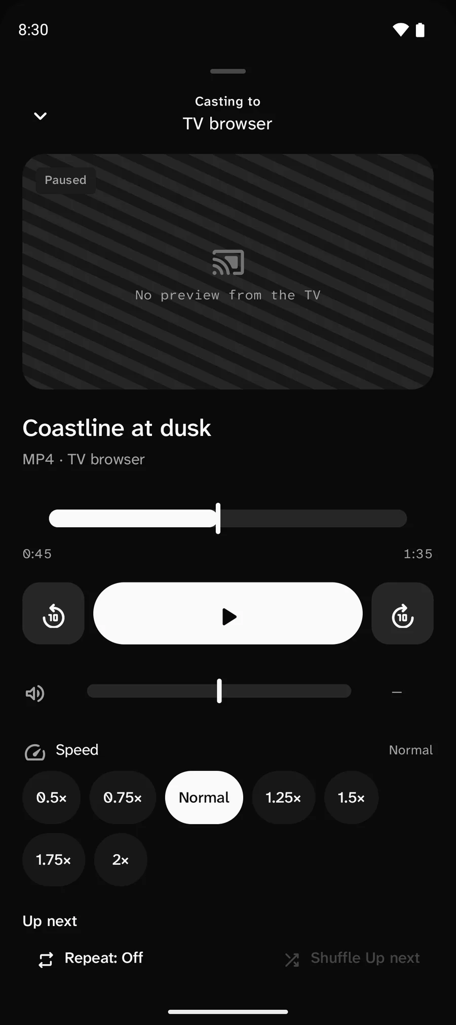 CastWay playback sheet, casting to TV browser. Paused: White Persian cat, MP4, with back 5 seconds, play and forward 5 seconds controls and a live playback position.